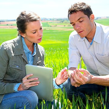  BASF Agricultural Solutions 
