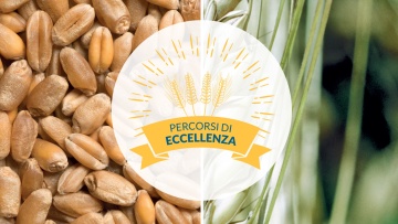 Percorsi di Eccellenza 2018