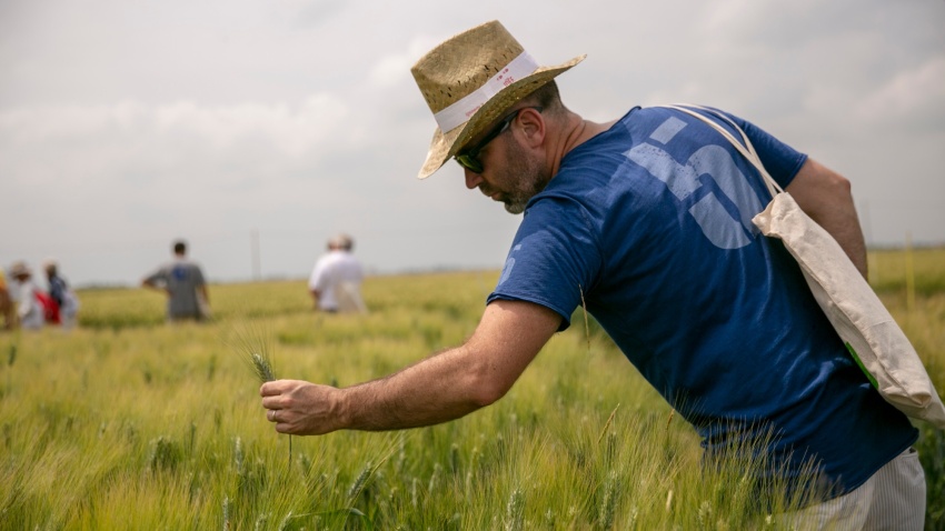 Il Seme Del Tuo Campo Testo