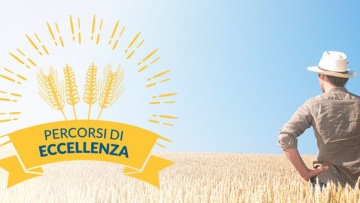 Percorsi di Eccellenza 2017 