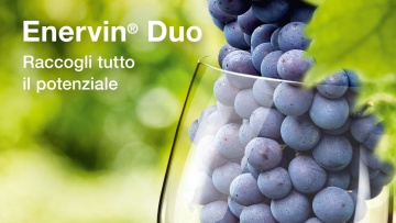 Enervin® Duo Vite