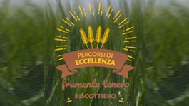 Biscottiero 