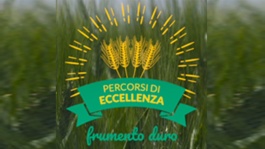 Duro 