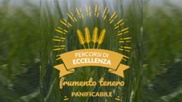 Panificabile 