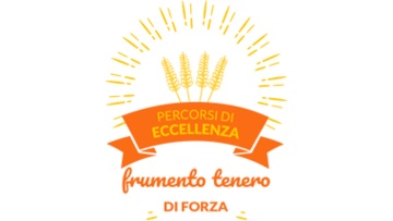 Frumento Tenero di Forza