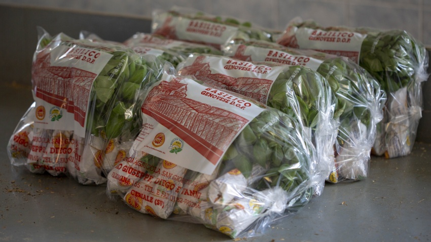 3. Il Basilico Genovese DOP