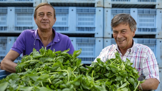 Mario Anfossi e Paolo Grossi 