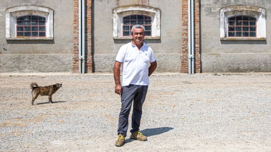 Azienda agricola Bosco