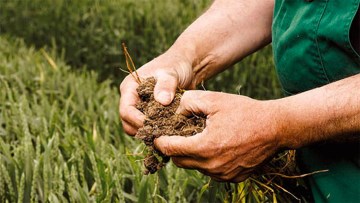 Il più grande lavoro sulla terra