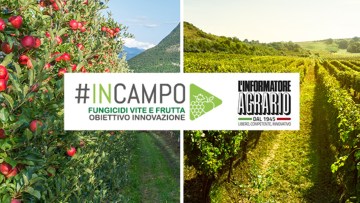 #inCampo - Difesa fungicida vite e frutta. Obiettivo Innovazione