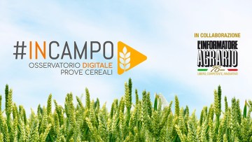 #InCampo - Fungicidi Cereali Live