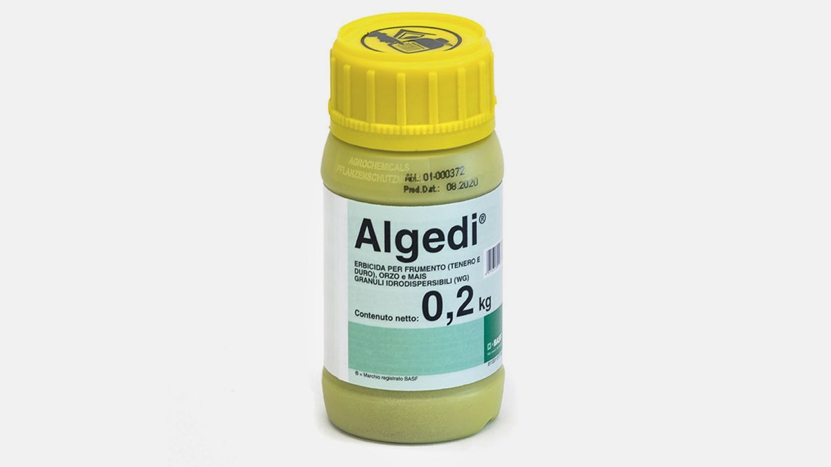Algedi® - 58526678