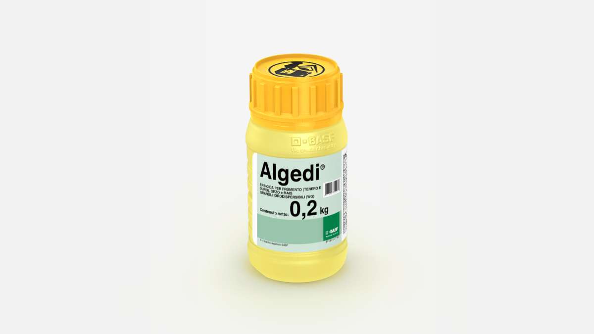 Algedi® - 58526678