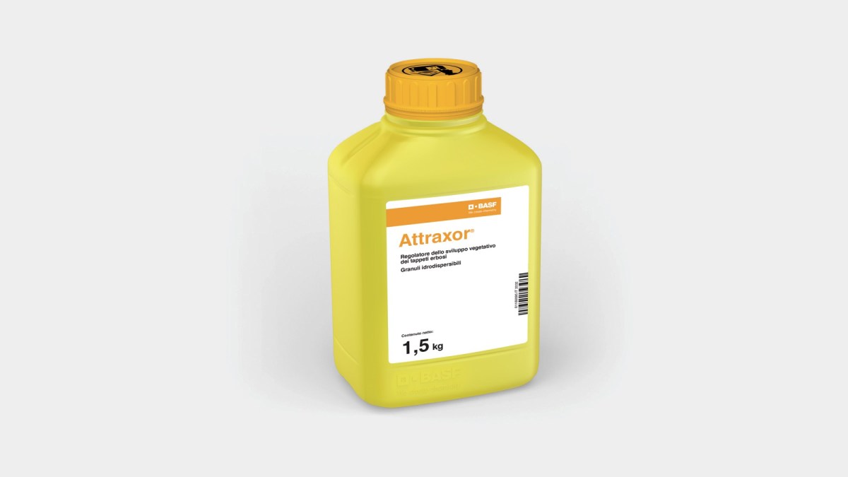Attraxor®
