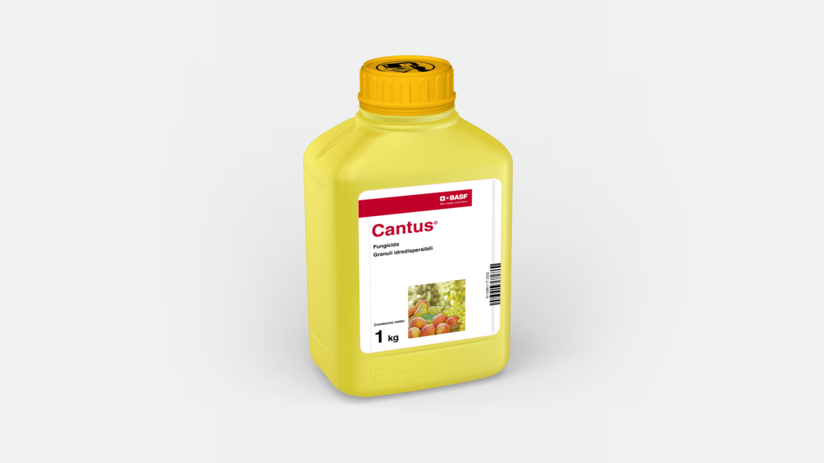 Cantus® - 58029959