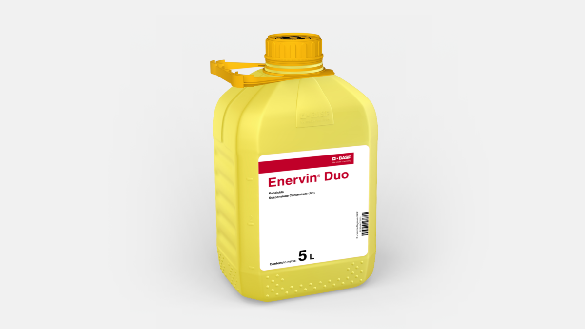 Enervin® Duo - 58907620