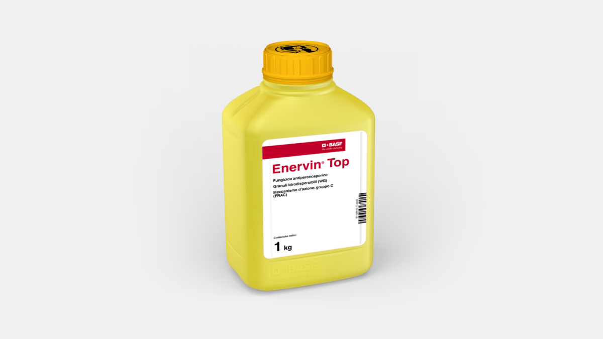 Enervin® Top - 58030009