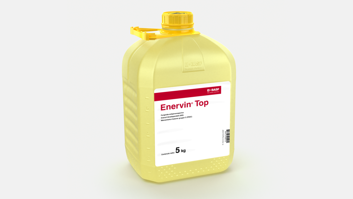 Enervin® Top - 58049858
