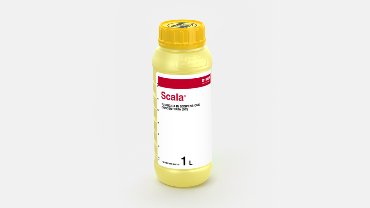 Scala® - 58686297