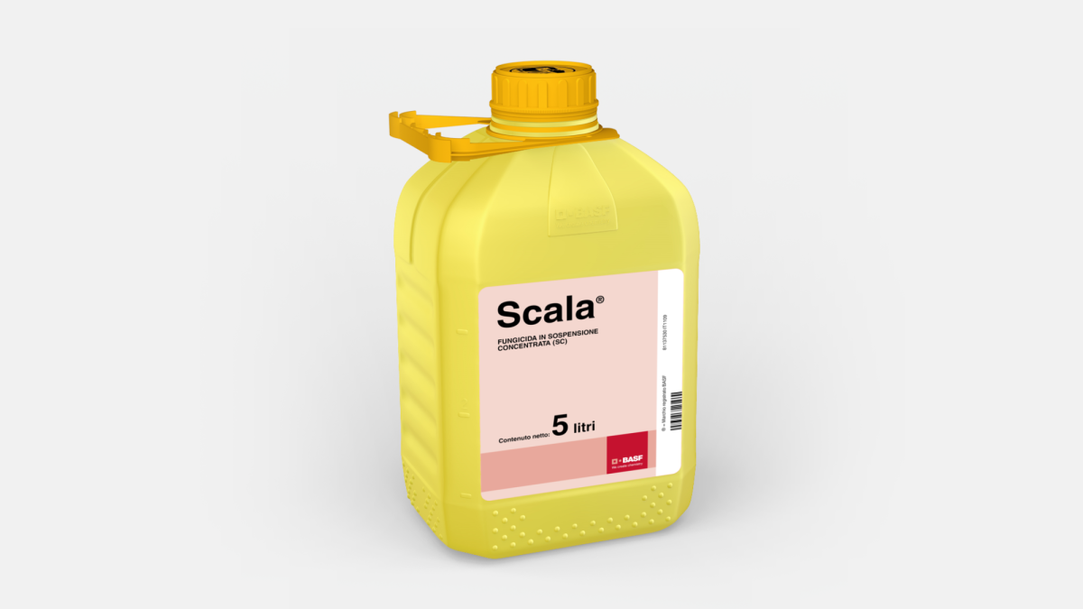 Scala® - 58686310