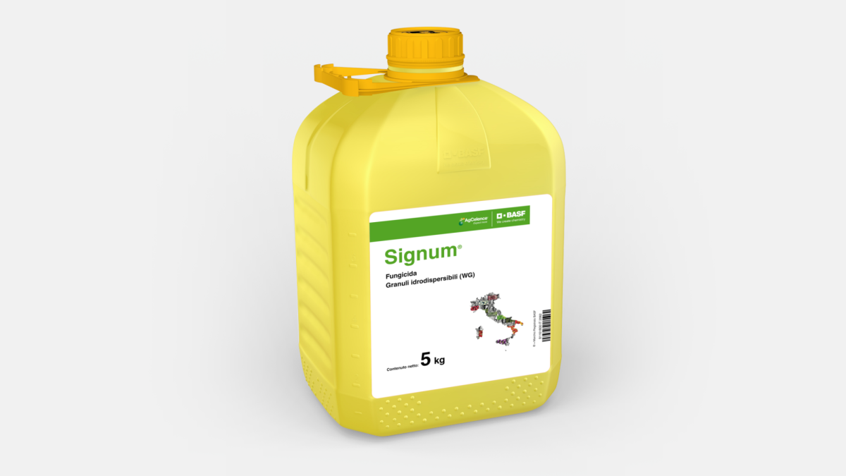Signum® - 58014863