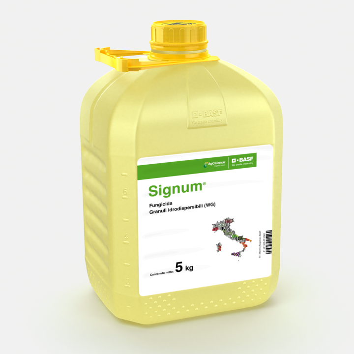 Signum® - 58014863
