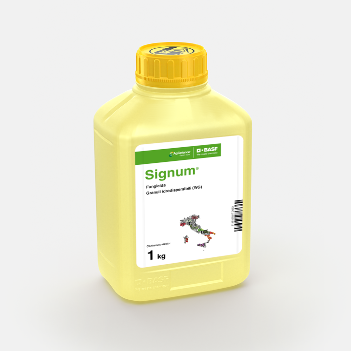 Signum® - 58027702