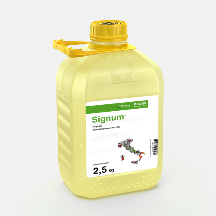 Signum® - 58288691