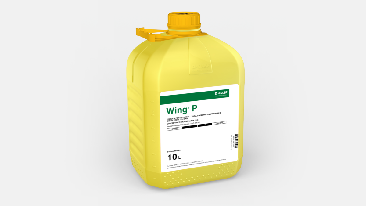 Wing® P - 58270849