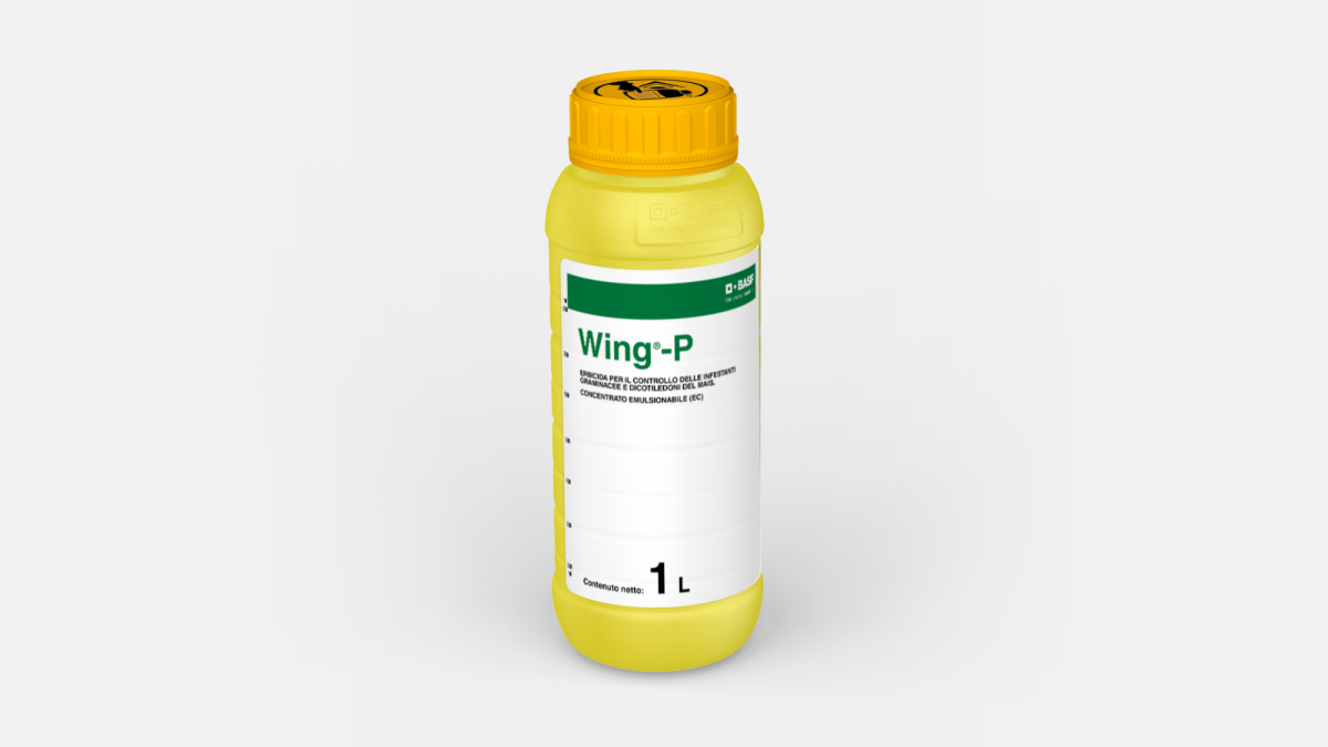 Wing® P - 58658362