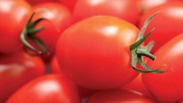 Ettaro Rosso Plus