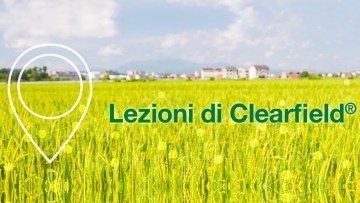 Lezione di Clearfield®