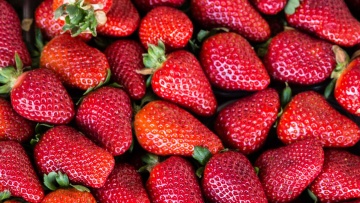 Fragola