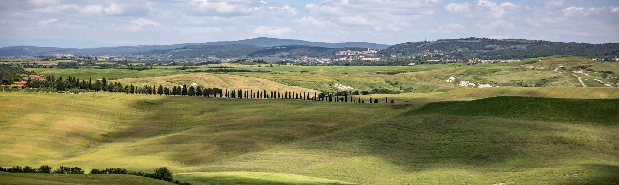 Il più Grande lavoro sulla terra Carciofo Centro