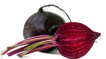 Barbabietola (coltura)