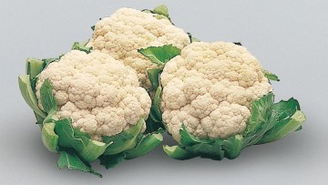 Cavolfiore