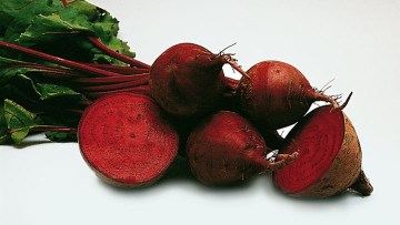 Barbabietola da foraggio