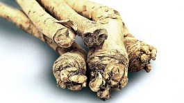 Barbaforte