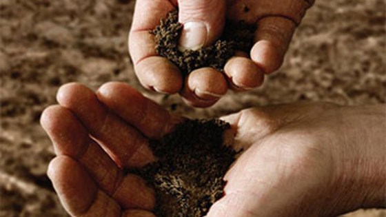Il più grande lavoro sulla terra progetto per l'agricoltura di BASF Italia Divisione Agro